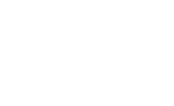 dyalsinghcollege